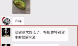 吃瓜的几个公众号,揭秘吃瓜群众背后的公众号江湖